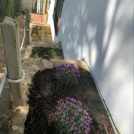 T5 - Cozy Retreat 50m To Garden Escape