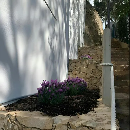 דירה T5 - Cozy Retreat 50m To Garden Escape טאמאריו